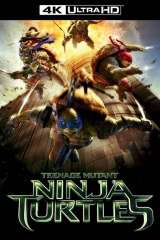 Teenage Mutant Ninja Turtles poster 12