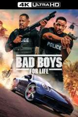 Bad Boys for Life poster 11