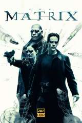The Matrix poster 28