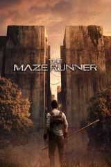 The Maze Runner poster 18