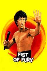 Fist of Fury poster 19