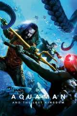 Aquaman and the Lost Kingdom poster 13