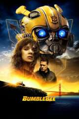 Bumblebee poster 3