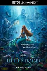 The Little Mermaid poster 11