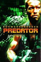 Predator poster 20