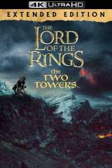 The Lord of the Rings: The Two Towers poster 17