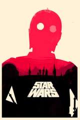 Star Wars: Episode IV - A New Hope poster 42