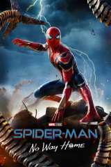 Spider-Man: No Way Home poster 6