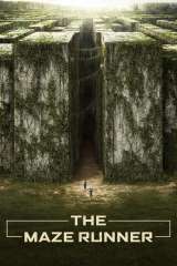 The Maze Runner poster 21