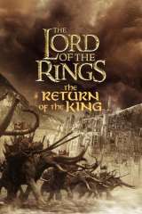 The Lord of the Rings: The Return of the King poster 14
