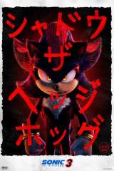 Sonic the Hedgehog 3 poster 115