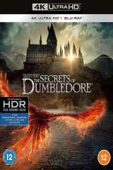 Fantastic Beasts: The Secrets of Dumbledore poster 21