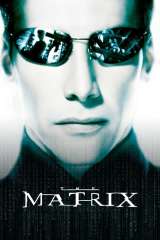 The Matrix poster 20