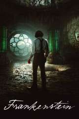 Frankenstein poster 65