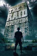 The Raid poster 15