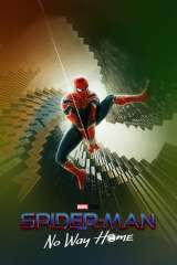 Spider-Man: No Way Home poster 5