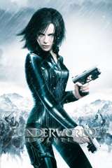 Underworld: Evolution poster 14