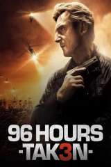 Taken 3 poster 11