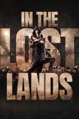 In the Lost Lands poster 19