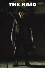 The Raid (2012)