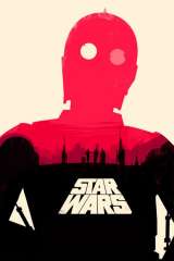 Star Wars: Episode IV - A New Hope poster 35
