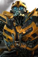 Bumblebee poster 12