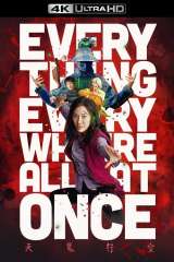 Everything Everywhere All at Once poster 17