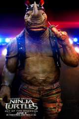 Teenage Mutant Ninja Turtles: Out of the Shadows poster 5