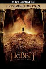 The Hobbit: The Desolation of Smaug poster 1