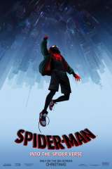Spider-Man: Into the Spider-Verse poster 9