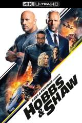 Fast & Furious Presents: Hobbs & Shaw poster 4