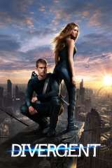 Divergent poster 11
