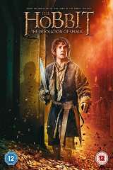The Hobbit: The Desolation of Smaug poster 28