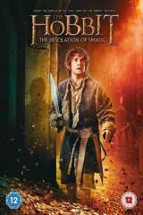 The Hobbit: The Desolation of Smaug poster 28
