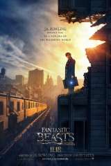 Fantastic Beasts and Where to Find Them poster 6
