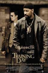 Training Day poster 6
