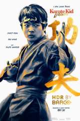 Karate Kid: Legends poster 12