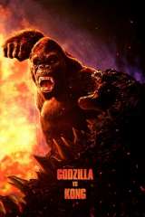 Godzilla vs. Kong poster 39