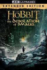 The Hobbit: The Desolation of Smaug poster 32