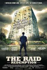 The Raid poster 26