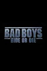 Bad Boys: Ride or Die poster 10