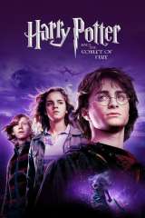Harry Potter and the Goblet of Fire poster 21