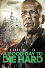 A Good Day to Die Hard (2013)