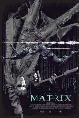 The Matrix poster 8