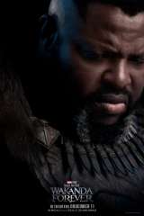 Black Panther: Wakanda Forever poster 10