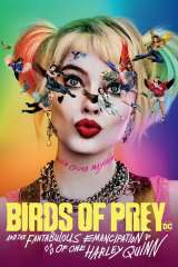 Birds of Prey (and the Fantabulous Emancipation of One Harley Quinn) poster 7