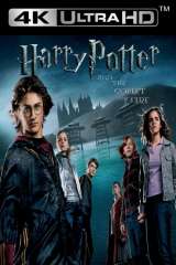 Harry Potter and the Goblet of Fire poster 10