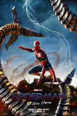 Spider-Man: No Way Home poster 12
