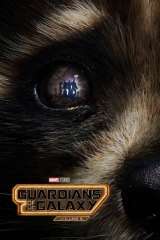 Guardians of the Galaxy Vol. 3 poster 30