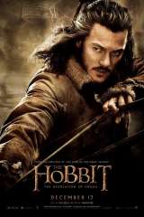 The Hobbit: The Desolation of Smaug poster 21